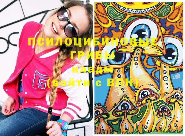 гашиш Богданович