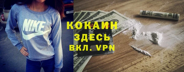 гашиш Богданович