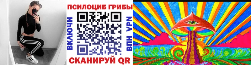 Галлюциногенные грибы Psilocybe  Купить закладки  Карасук 